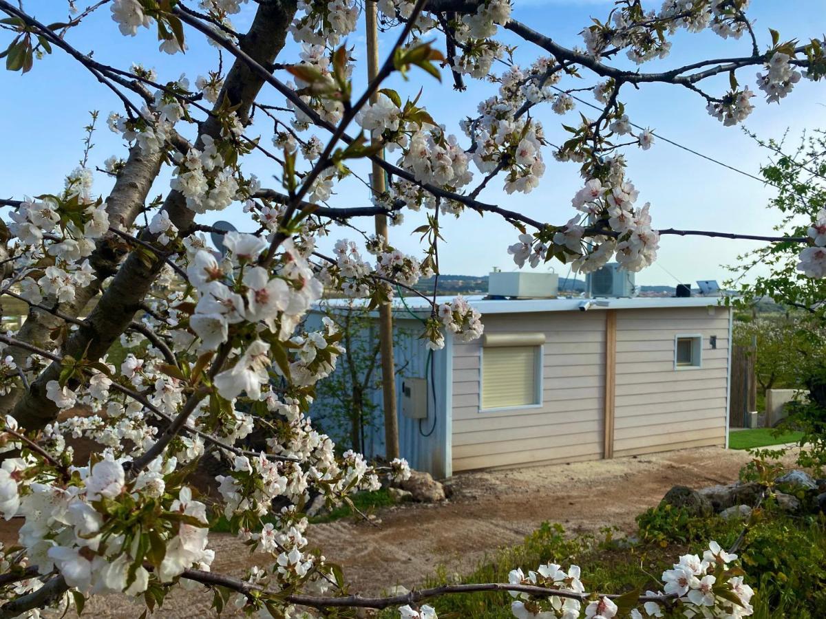 צימר המסה Apartment Mas'ada Exterior photo